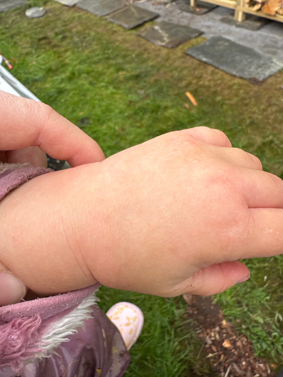 Reseña fotográfica de un cliente sobre el maxifavorittar de Emil
