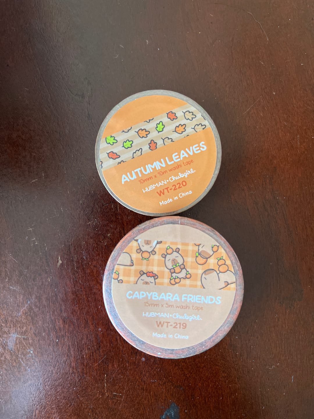 Customer photo review of Autumn Capybaras Washi Tapes (Set of 2)