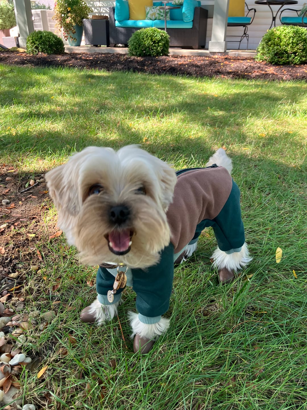 Customer photo review of WagWellies® by wagwear