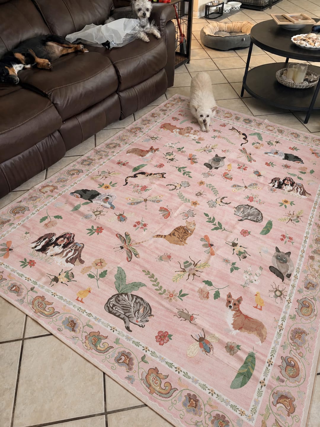 Customer photo review of Milo Washable Area Rug - Pink