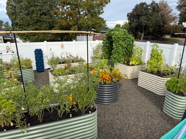 Customer photo review of Bulk Garden Bundle