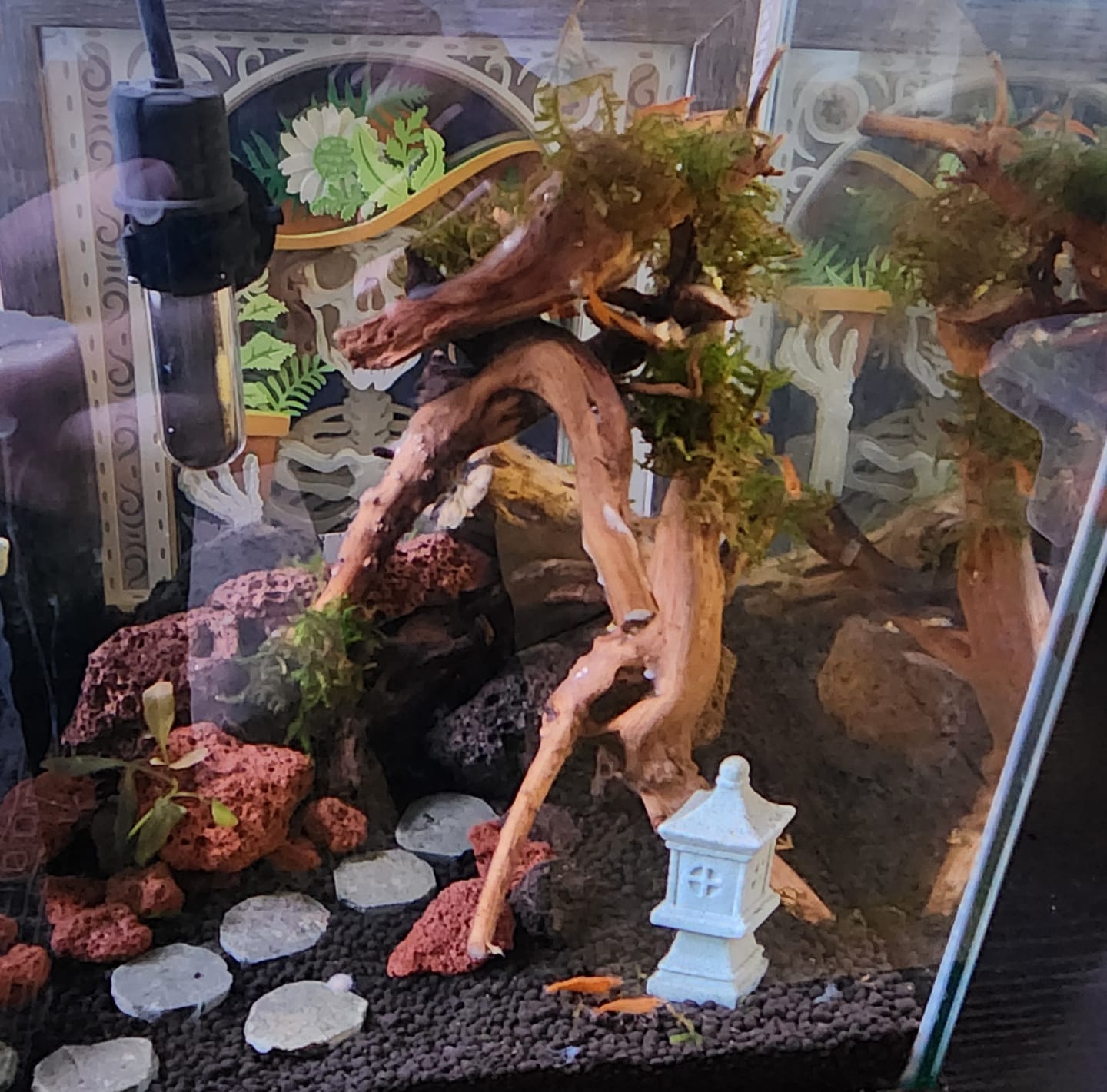 Customer photo review of Orange Sunkist Shrimp