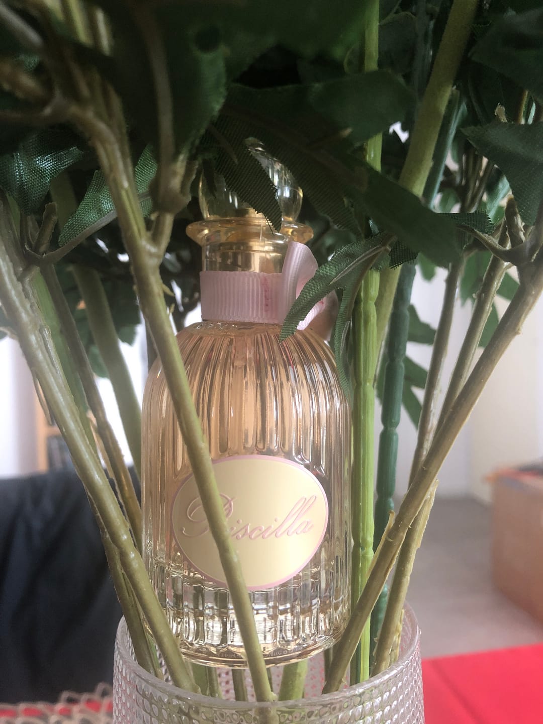 Customer photo review of Priscilla