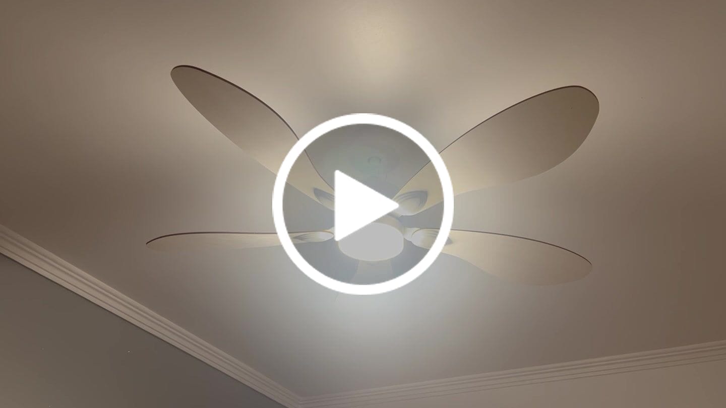 Customer video review of Libellule | Ventilateur de plafond
