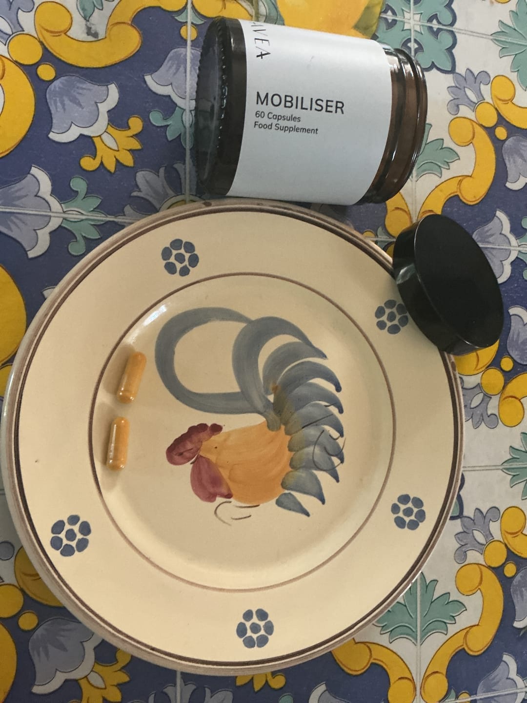 Customer photo review of Mobiliser