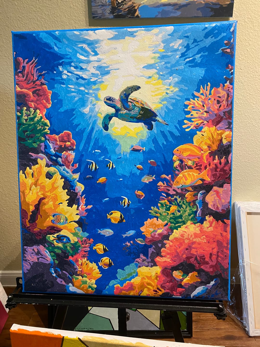 Customer photo review of Below the Surface