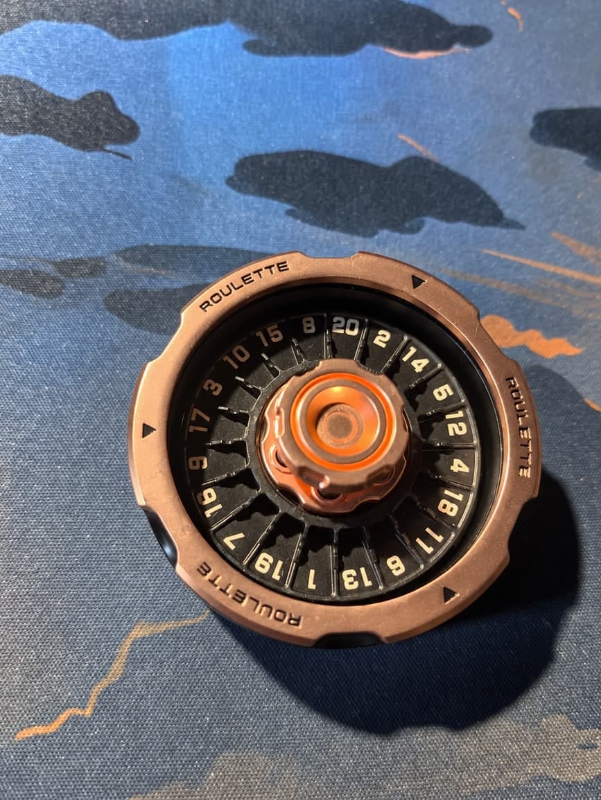 Customer photo review of Metal D20 Decision Spinner