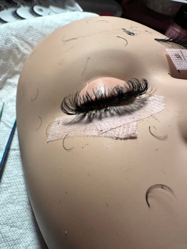 Customer photo review of BIA Beginner-Friendly Kit