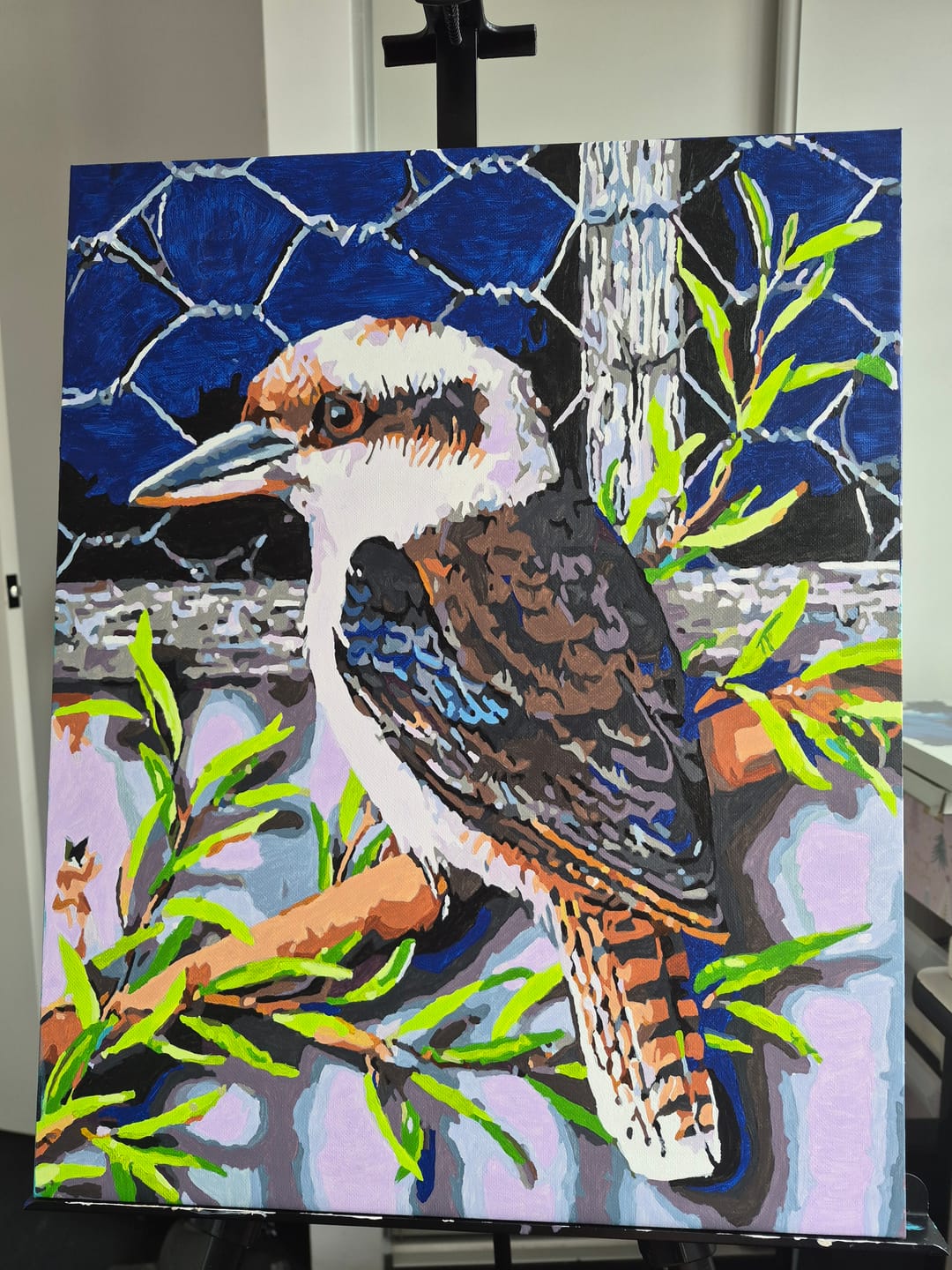 Customer photo review of Kookaburra & Tin