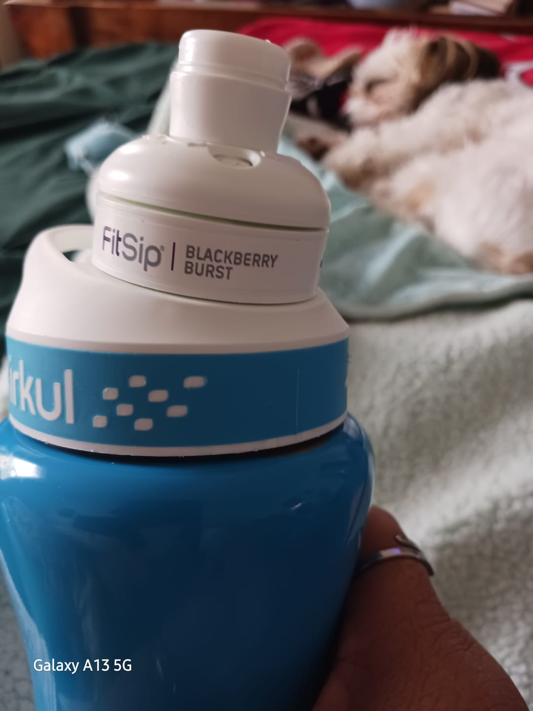 Customer photo review of FitSip Blackberry Burst