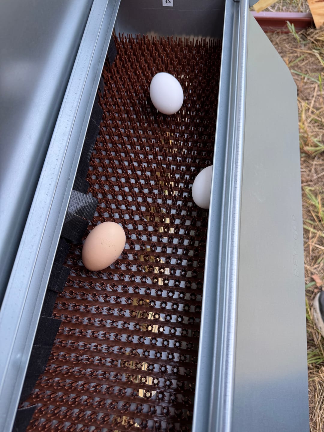 Customer photo review of Small (24") Reversible Roll-out Nest Box (Up to 20 Hens)