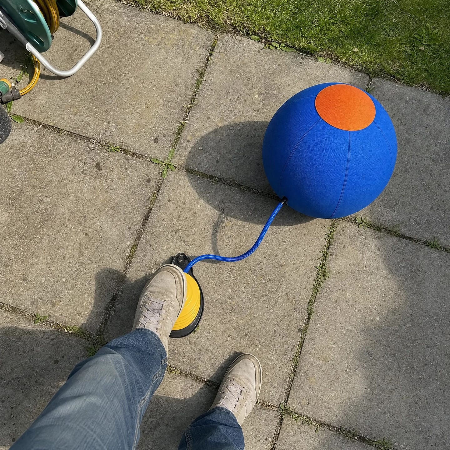 Customer photo review of DriveBall — Herding Ball for High-Drive Dogs, Zip-Close Oxford Cover, Replaceable Bladder