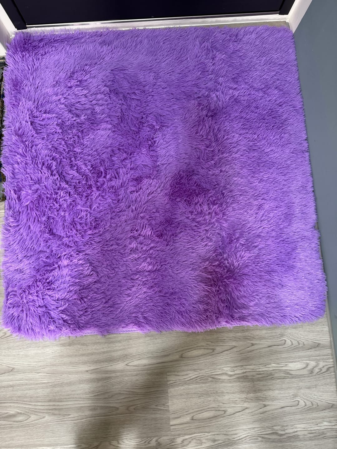 Customer photo review of 【尺寸訂製】絲毛長毛絨方型地毯