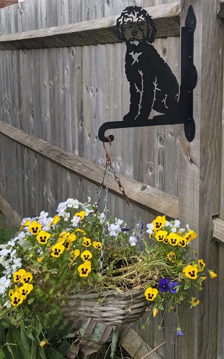 Customer photo review of Hanging Basket Bracket – Havanese