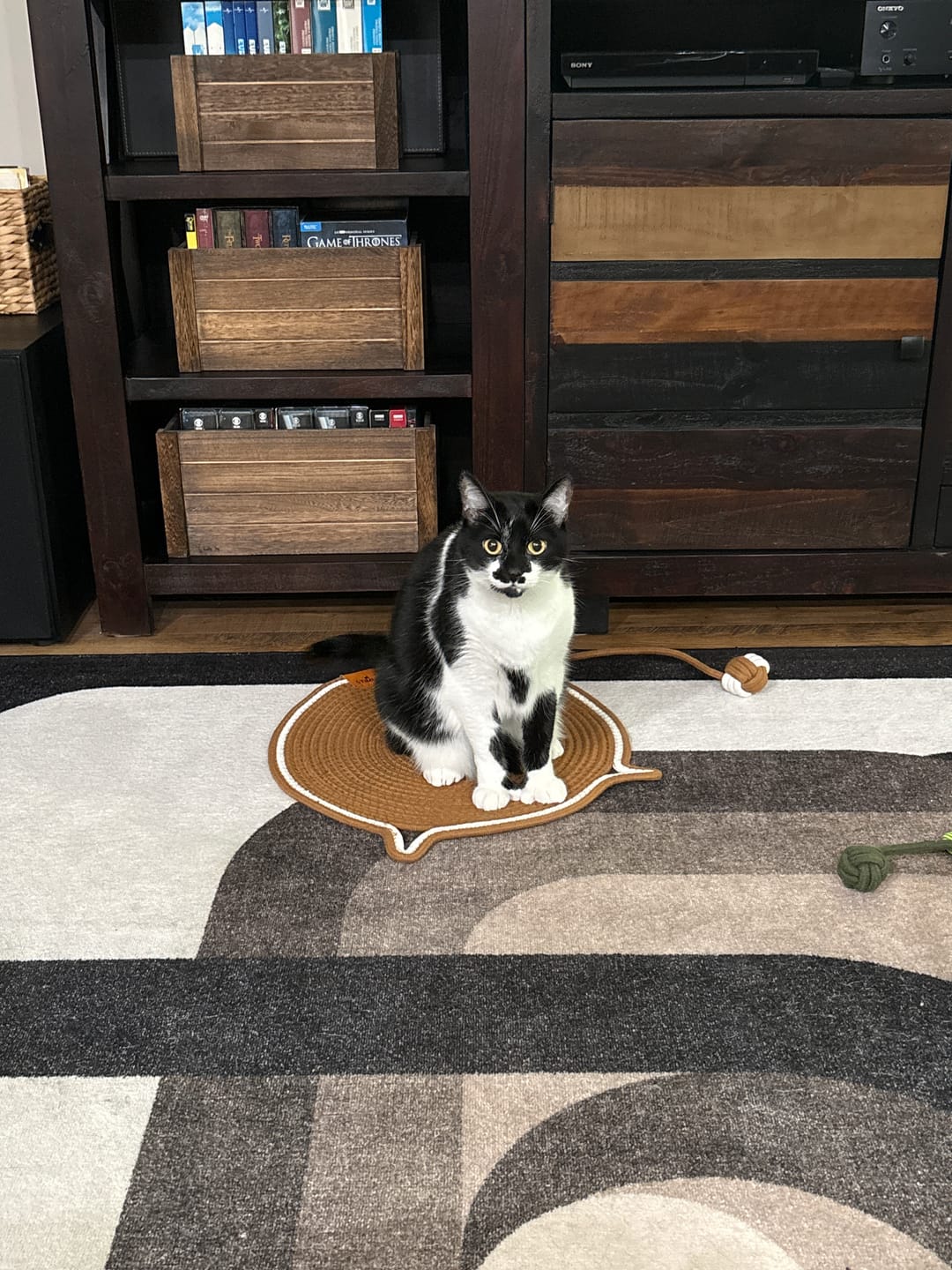 Customer photo review of Instinct Mat | The Scratching Mat Her Biology Actually Recognizes (NEW)