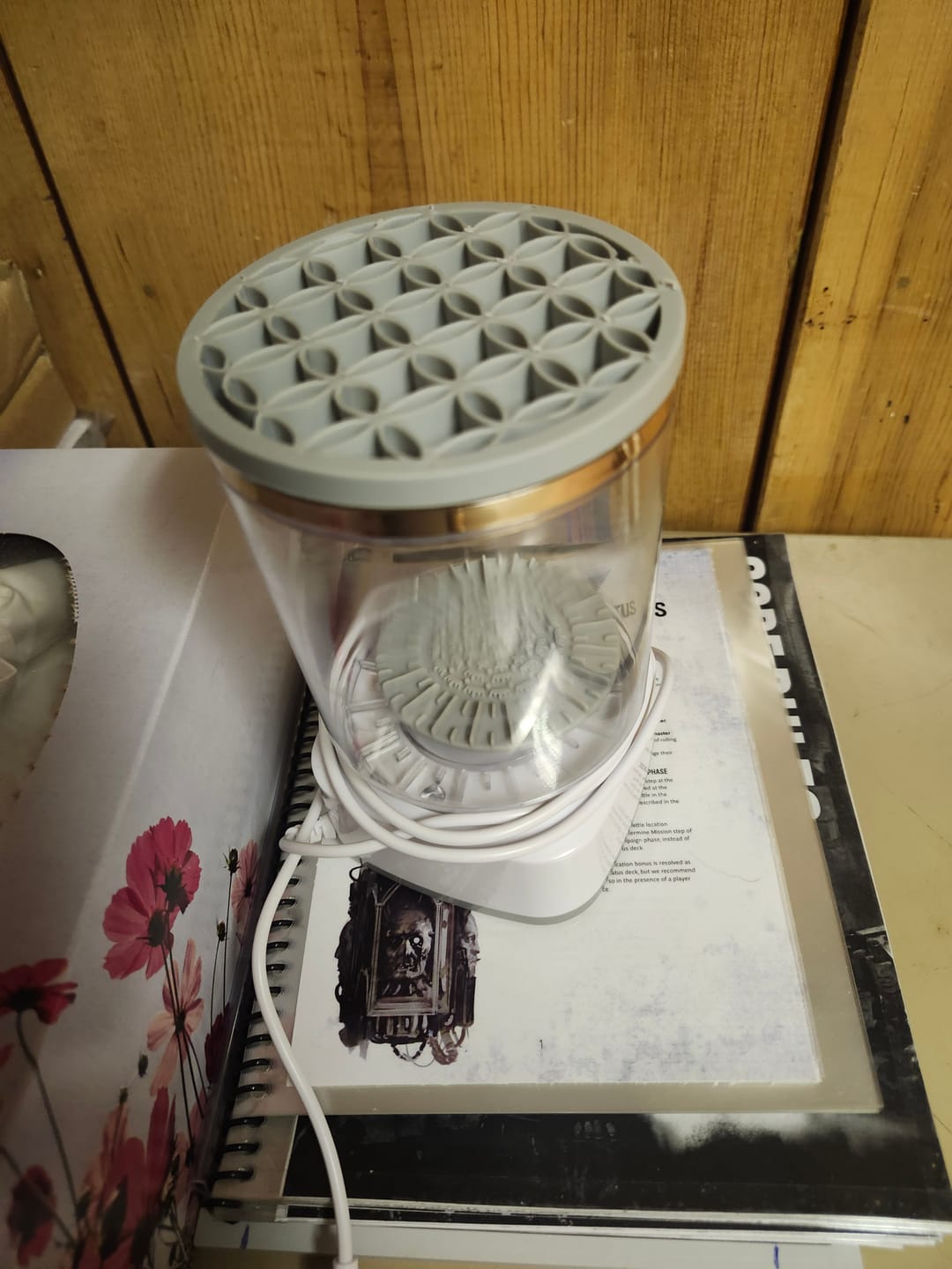 Customer photo review of BrushClean Pro