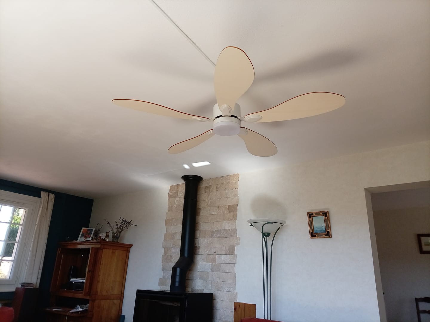 Customer photo review of Libellule | Ventilateur de plafond – Ø 137 cm