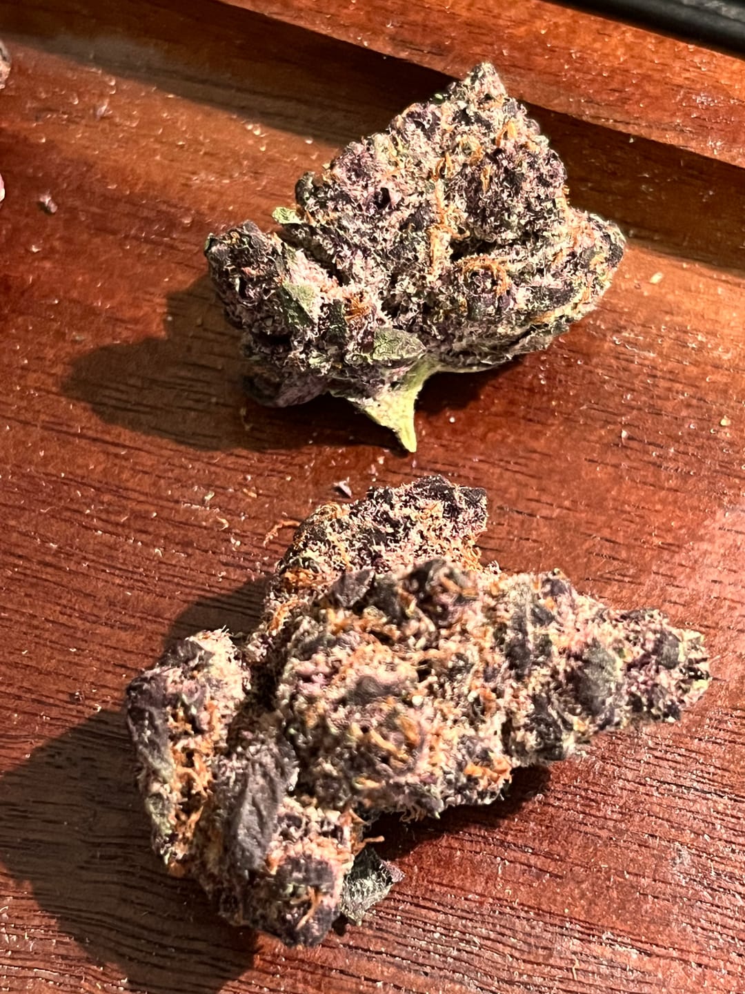 Customer photo review of Purple Haze