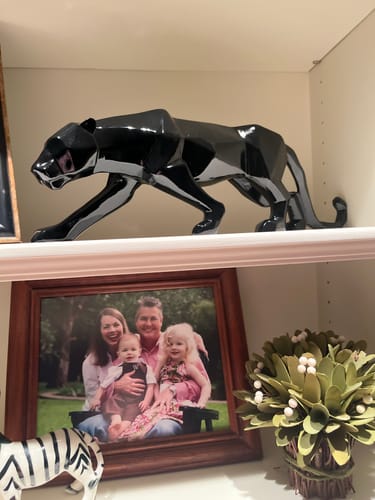 Customer photo review of Modern Abstract Leopard Statues - Resin Leopard Animal Sculptures Home Decor