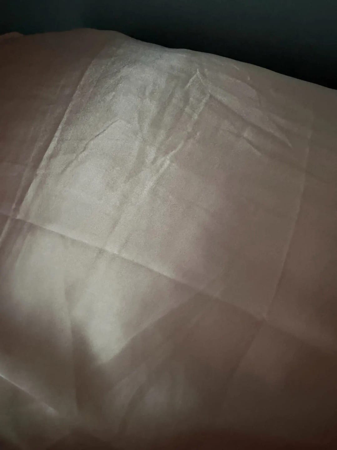 Customer photo review of Funda de Almohada de Seda