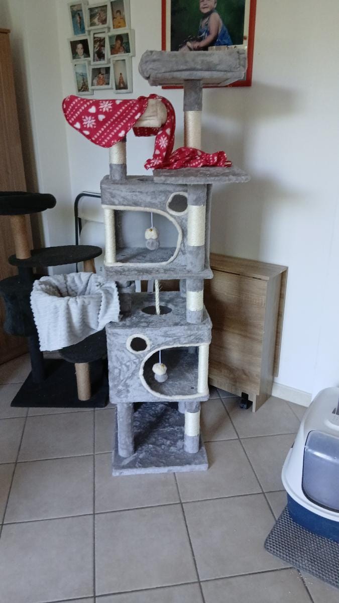 Customer photo review of Arbre à Chat 161cm – 7 Niveaux & Grande Stabilité