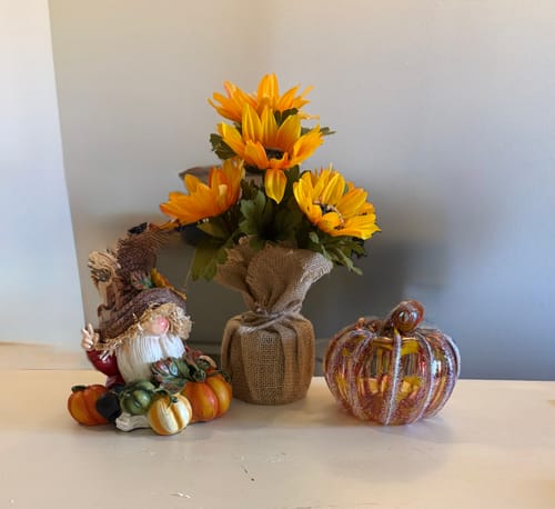 Customer photo review of Apple Cider Doughnut Squat Pumpkin