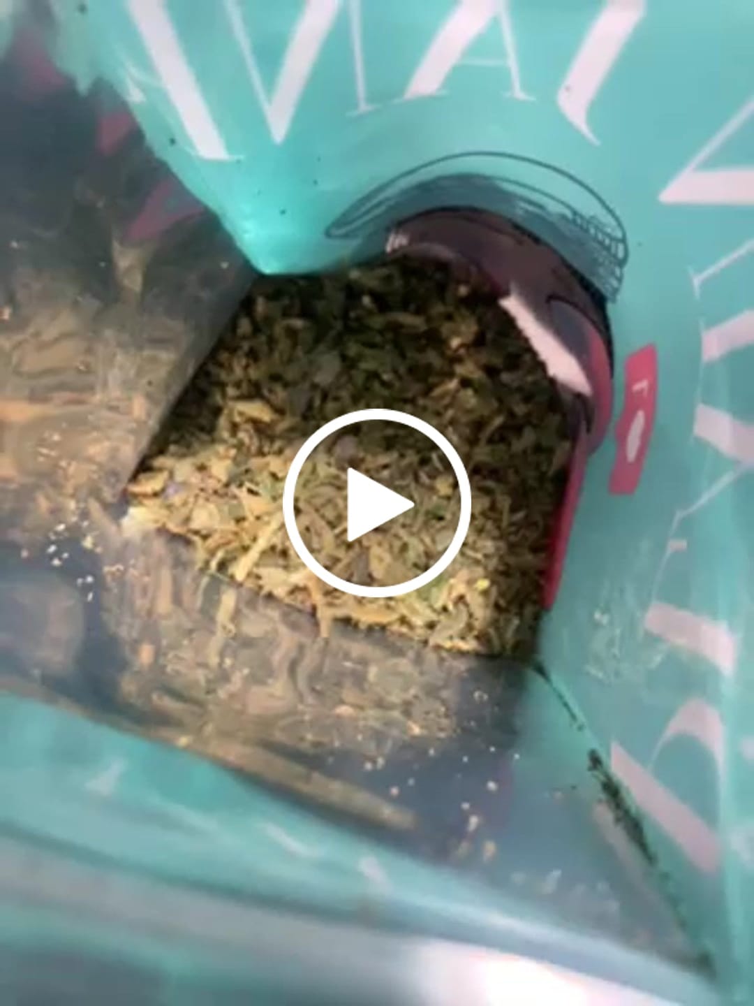 Customer video review of 1oz GMO Trim