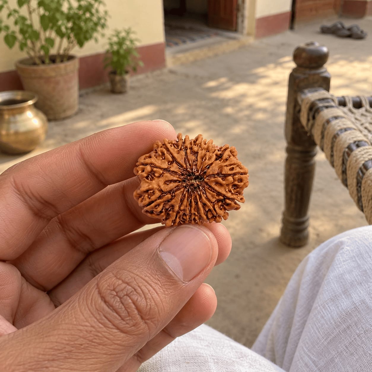 Customer photo review of Original 15 Mukhi Rudraksha (Nepali)