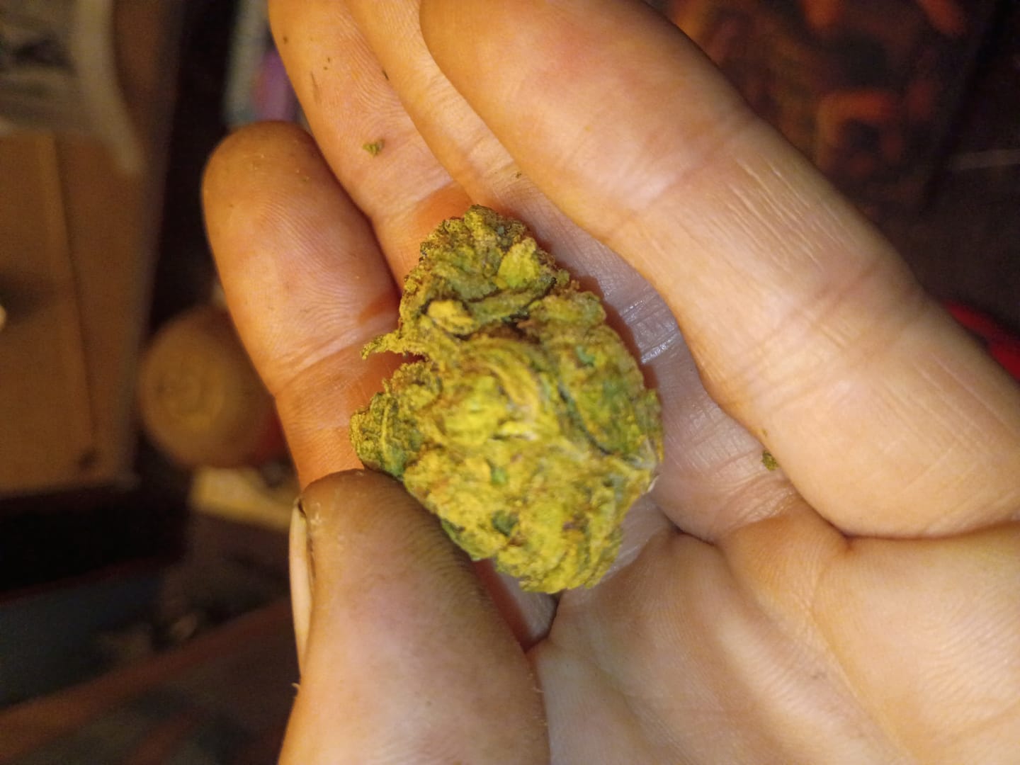 Customer photo review of THCA Queen
