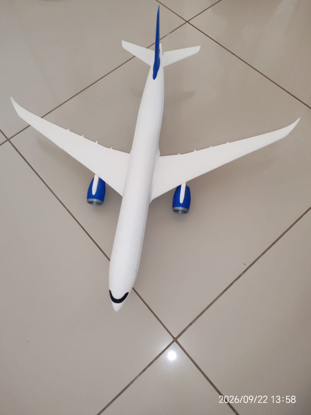 Customer photo review of 3D Printed Wide-Body Jet Model (A330-Style) – (1/100 scale) Aviation Display Gift for Pilots & Collectors