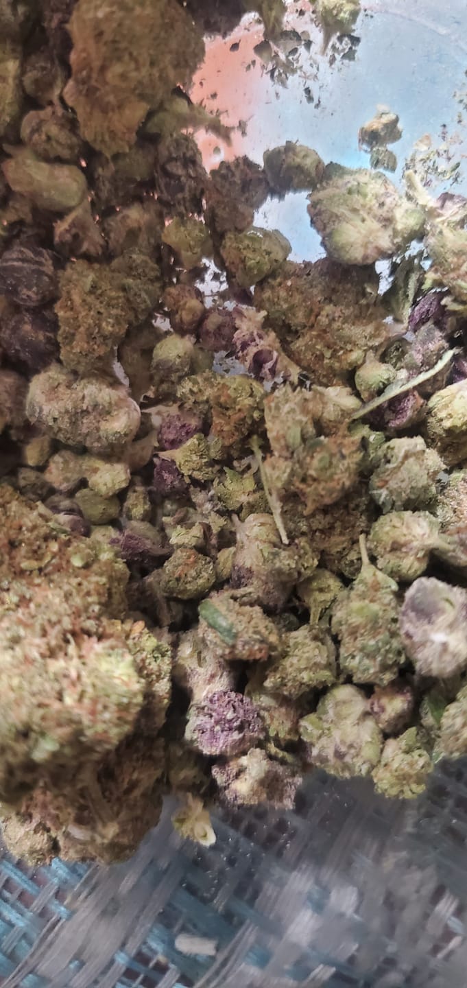 Customer photo review of Raspberry Kush - 28 Grams - Indica