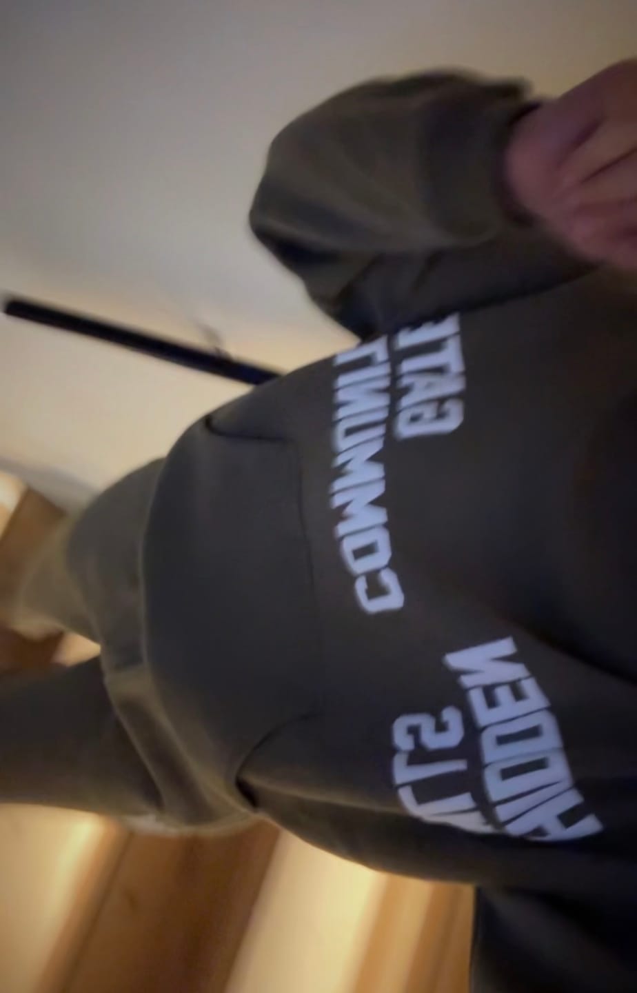 Customer photo review of GATED COMMUNITY HOODIE SAGE