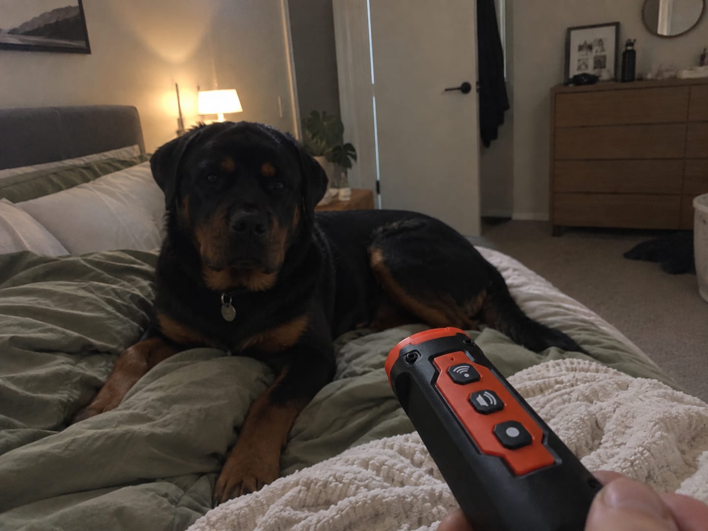 Customer photo review of PREMIUM Anti Bark Trainer