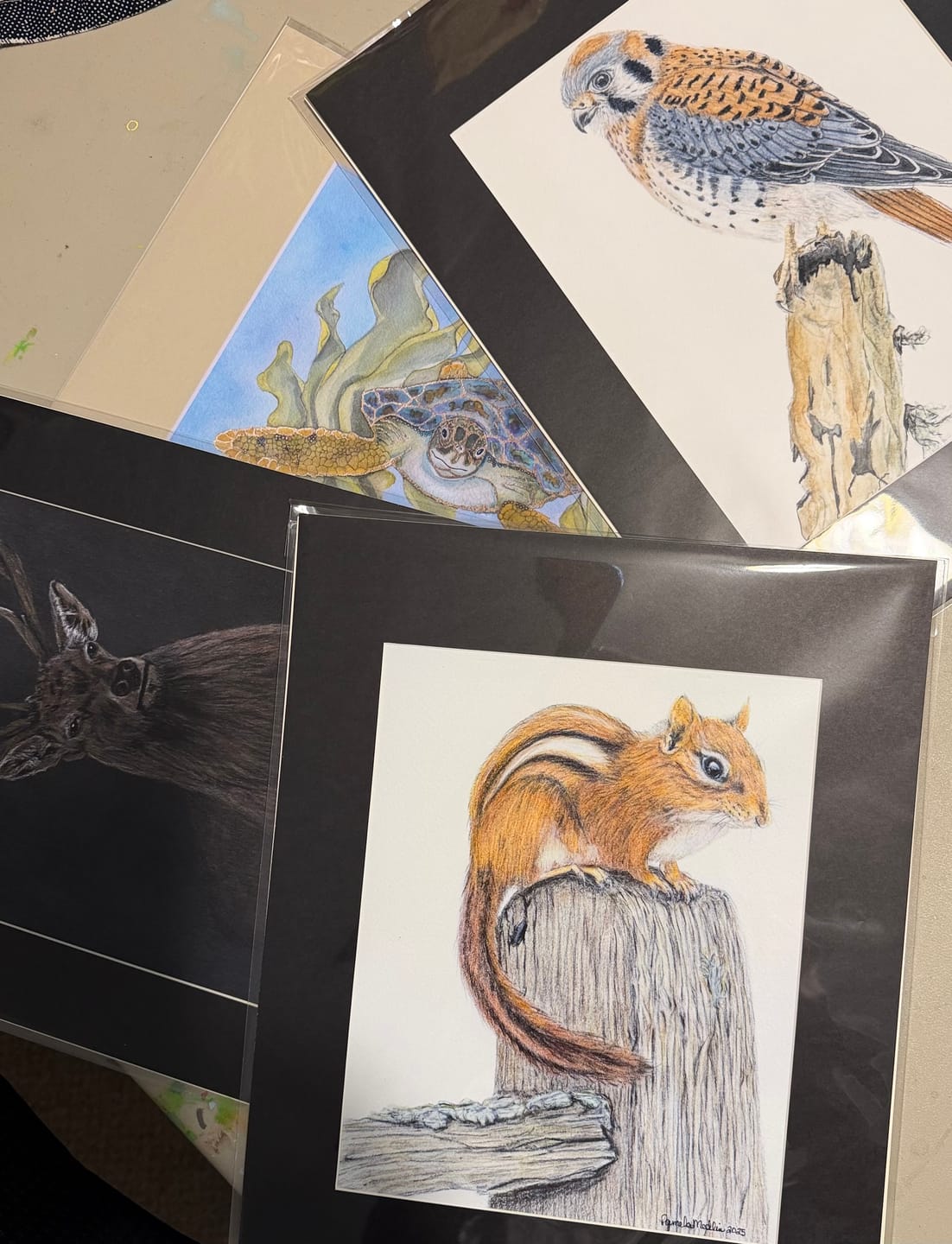 Customer photo review of Giclee Fine Art Prints - Cold Press Bright / 1/4-Inch Border - 6x8