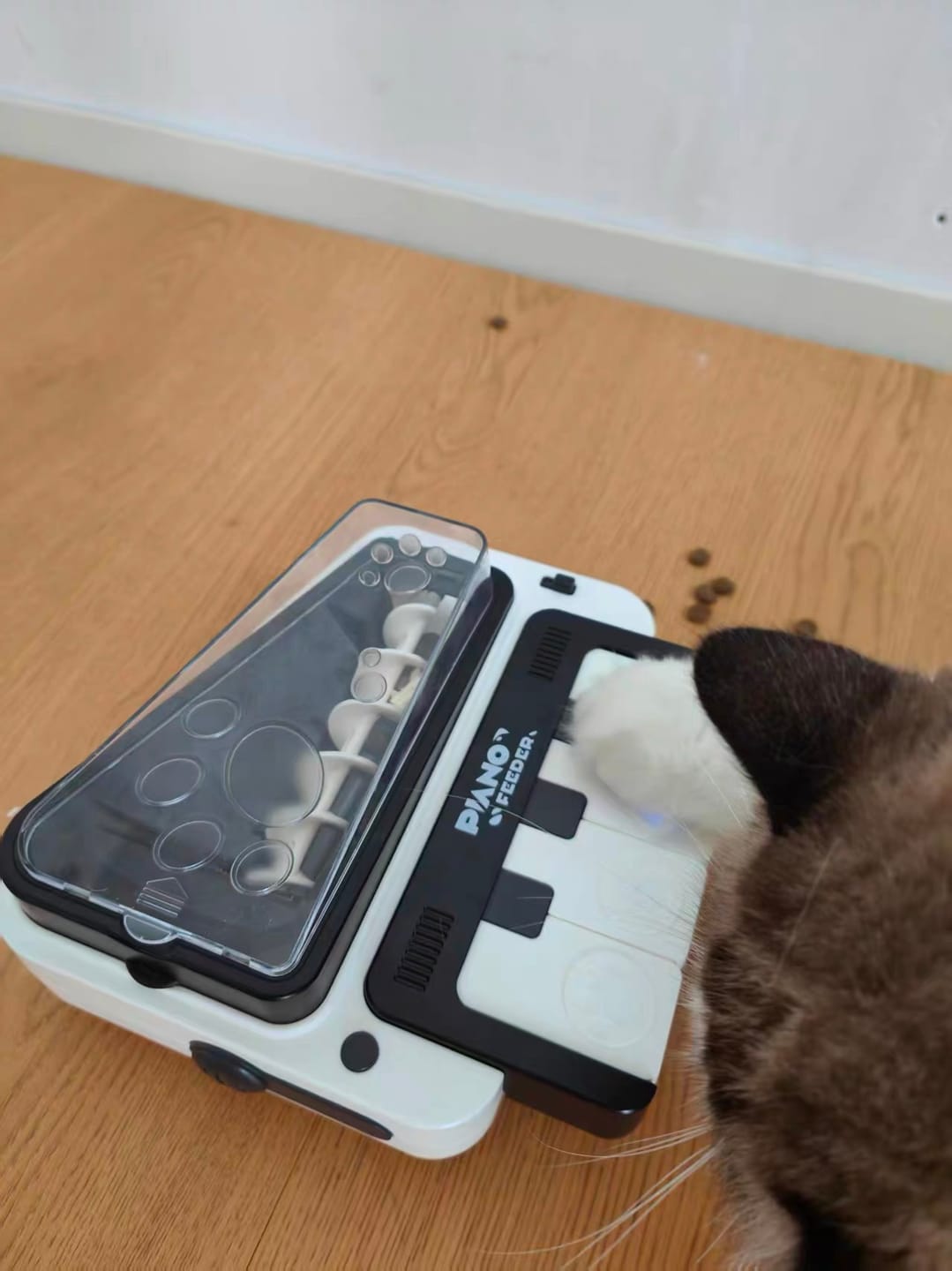 Customer photo review of Piano Treat Dispenser