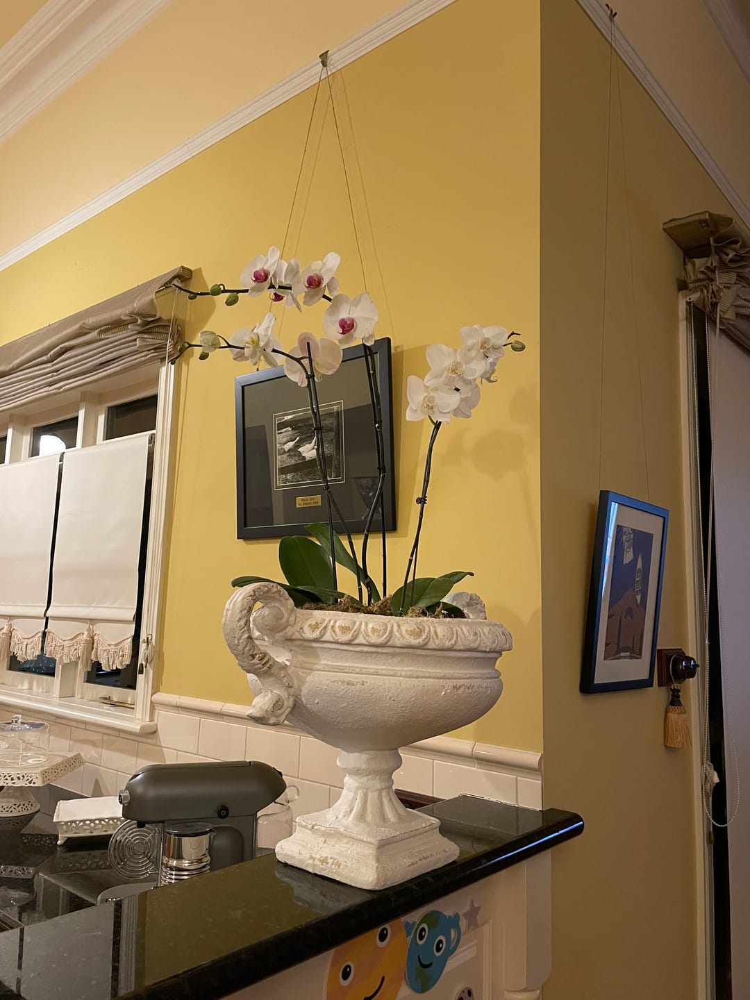 Customer photo review of Elena French Provincial Urn Planter, Distressed Antique White Magnesia 59cm