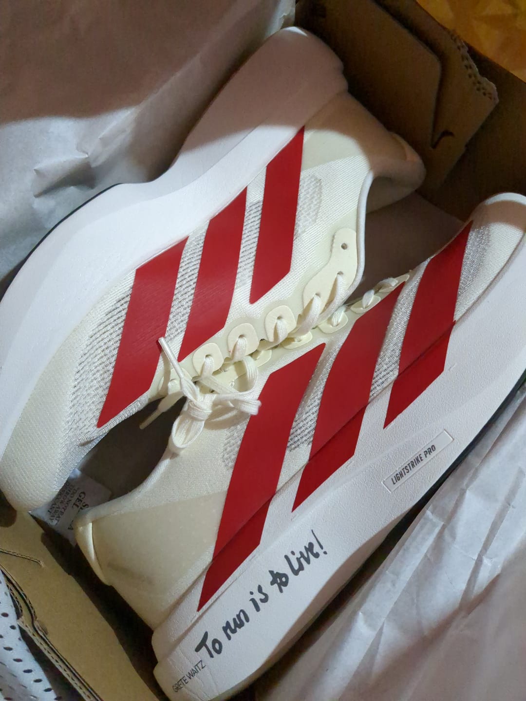 Customer photo review of Adidas Adizero EVO SL Off White Better Scarlet - ADS