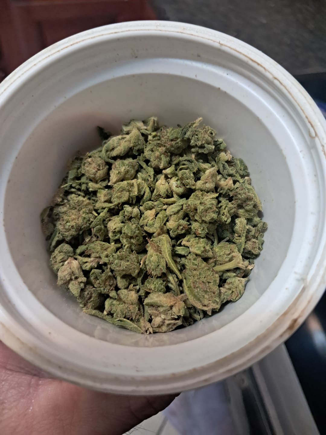 Customer photo review of Mendo Breath Mediums - Bulk Mediums - Indica