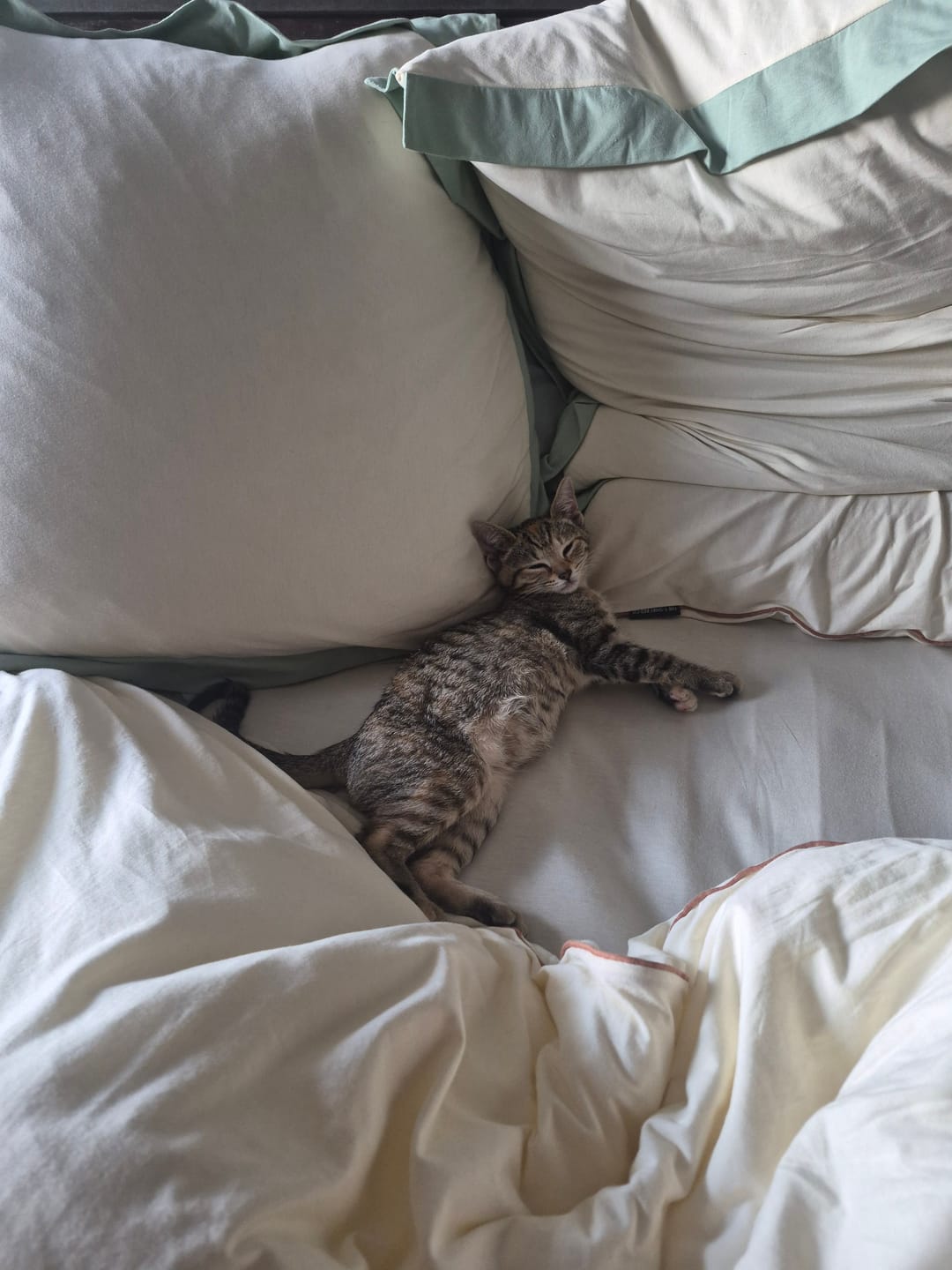 Customer photo review of The Luxury Piped Duvet Cover Set