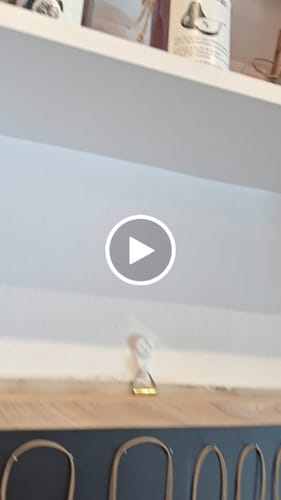 Customer video review of White Label for B21, B1, B3S