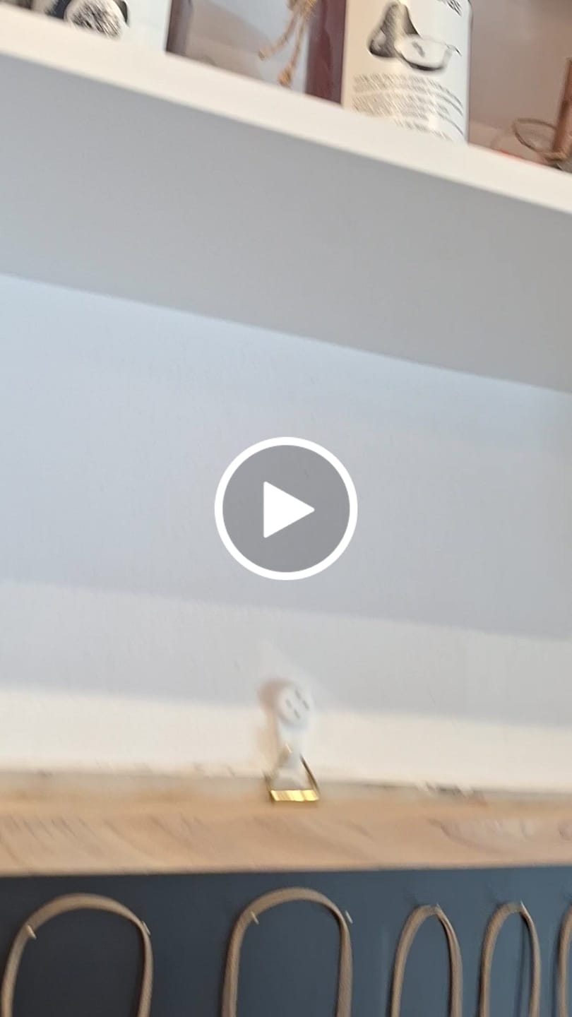 Customer video review of White Label for B21, B1, B3S