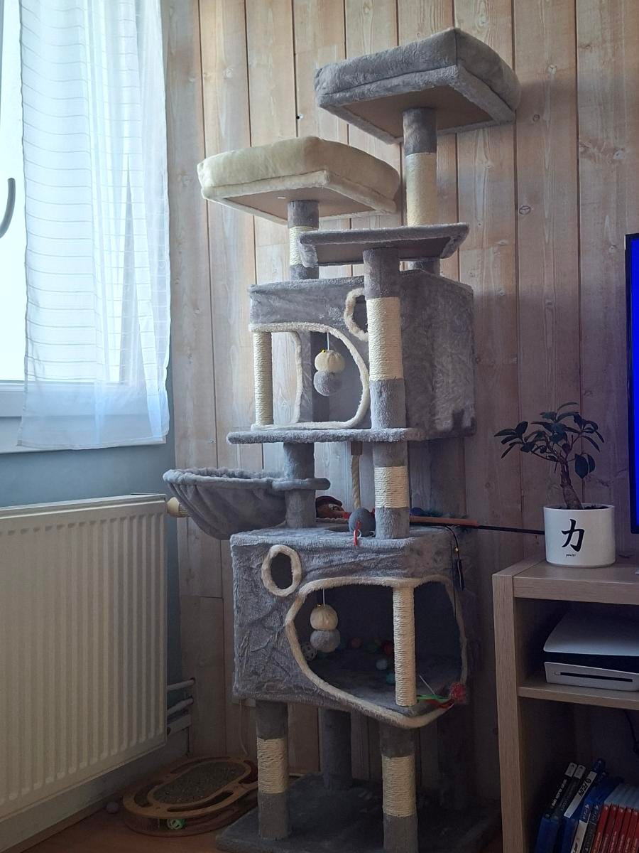 Customer photo review of Arbre à Chat 161cm – 7 Niveaux & Grande Stabilité
