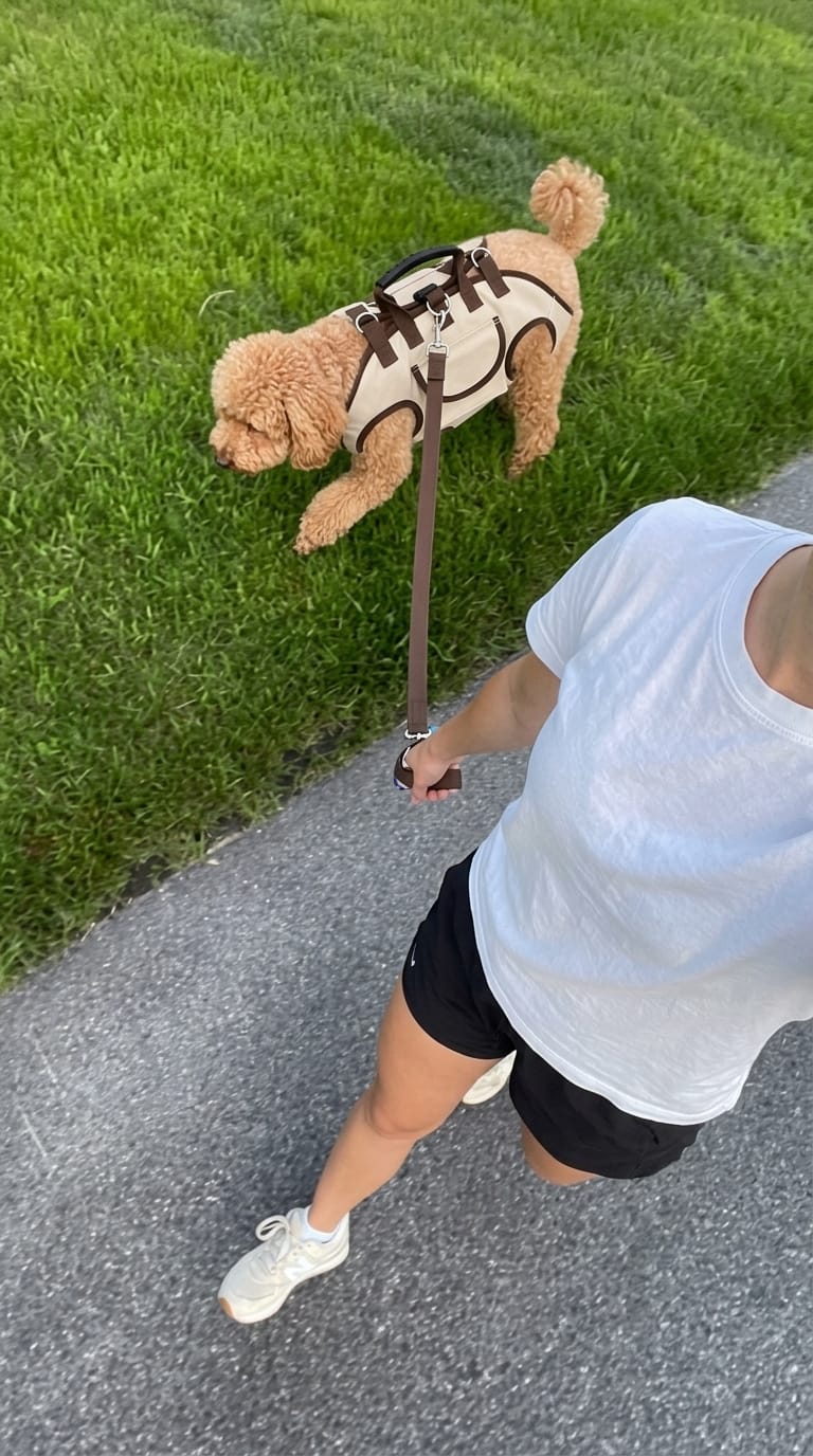 Customer photo review of PawLift™ — Juntos En Cada Paso🐾