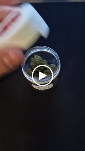 Customer video review of THC-A 29% Flower White Truffle