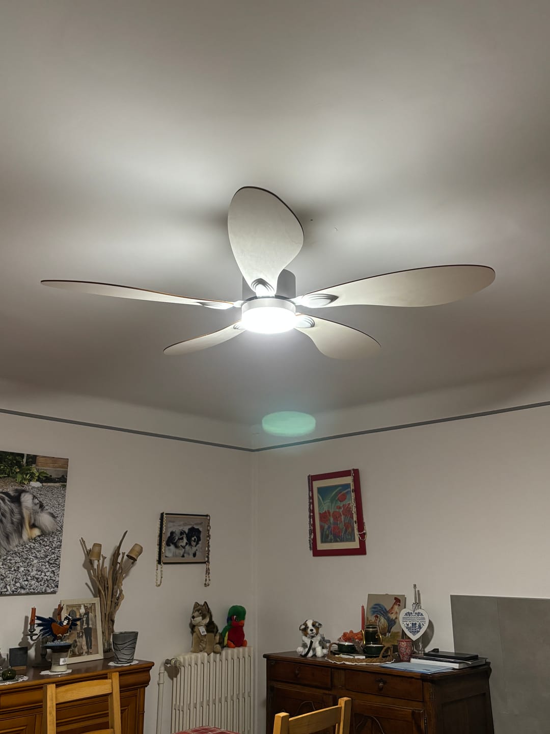 Customer photo review of Libellule | Ventilateur de plafond – Ø 137 cm