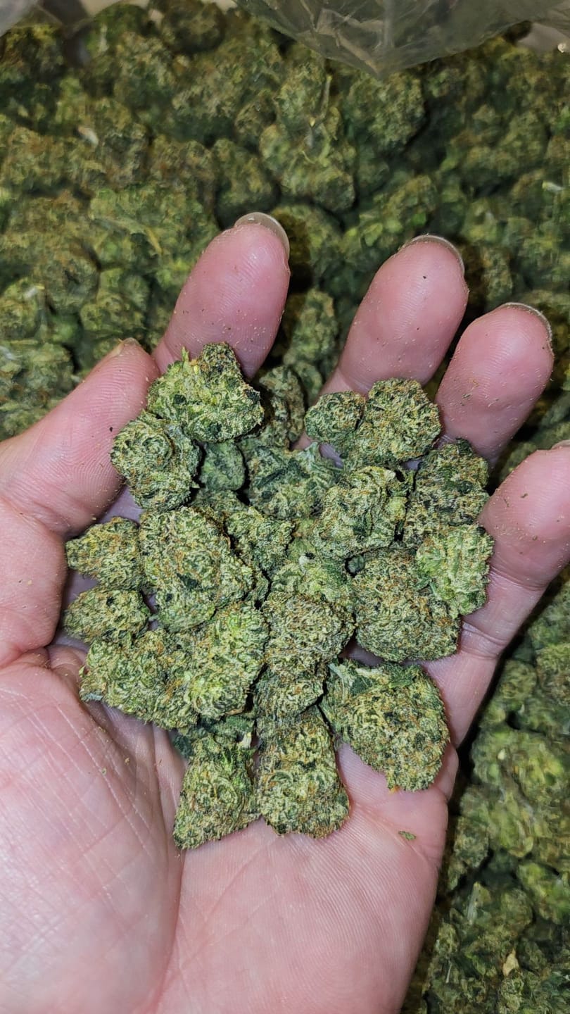 Customer photo review of Chem Dawg - 28 Grams - Hybrid