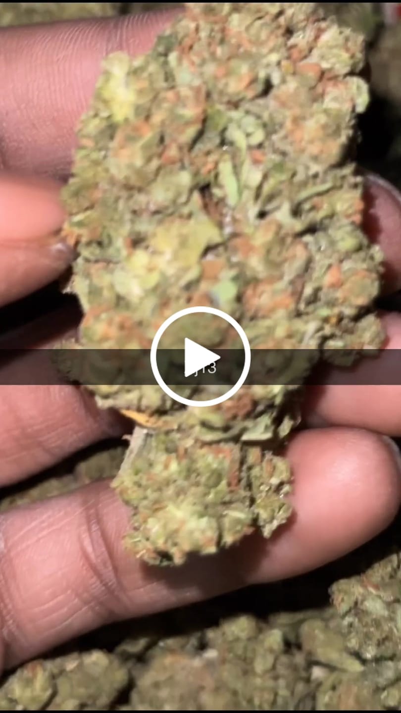 Customer video review of Cheap THCA Flower Quarter Pound