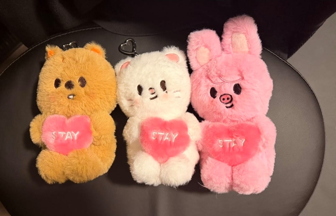 Customer photo review of STRAY KIDS SKZ 6th Fanmeeting STAY IN OUR LITTLE HOUSE Official MD