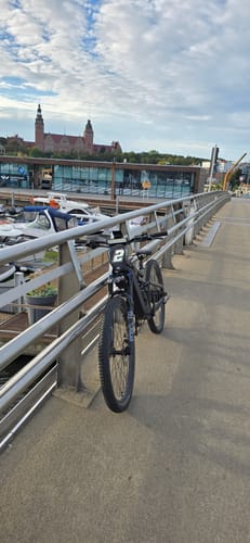 Customer's Lankeleisi MG600 Pro e-mountain bike parked on a bridge overlooking a marina and harbor.