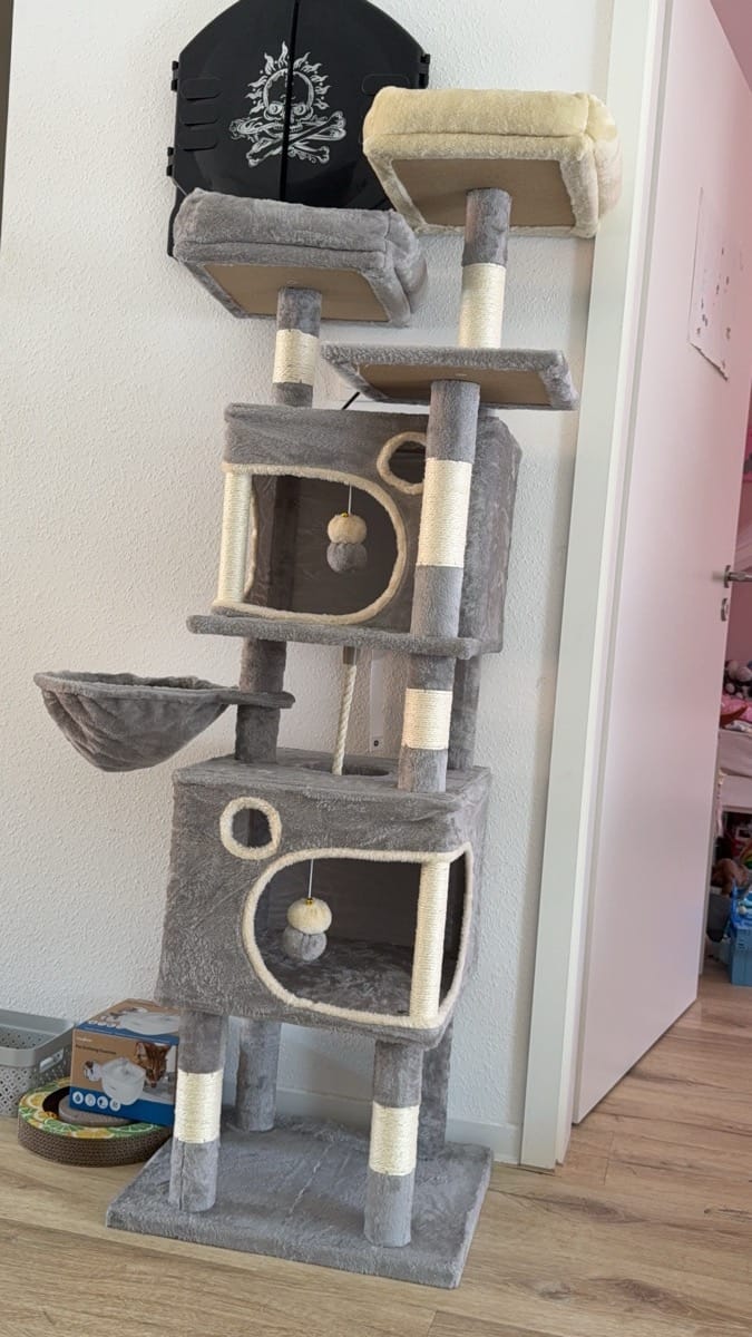 Customer photo review of Arbre à Chat 161cm – 7 Niveaux & Grande Stabilité
